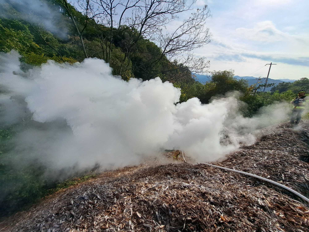 (0945)양구 국토정중앙면 기타화재.jpg