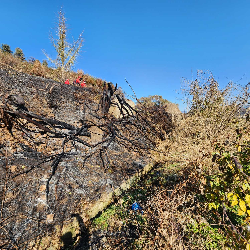 1131 원주 기타화재1.jpg