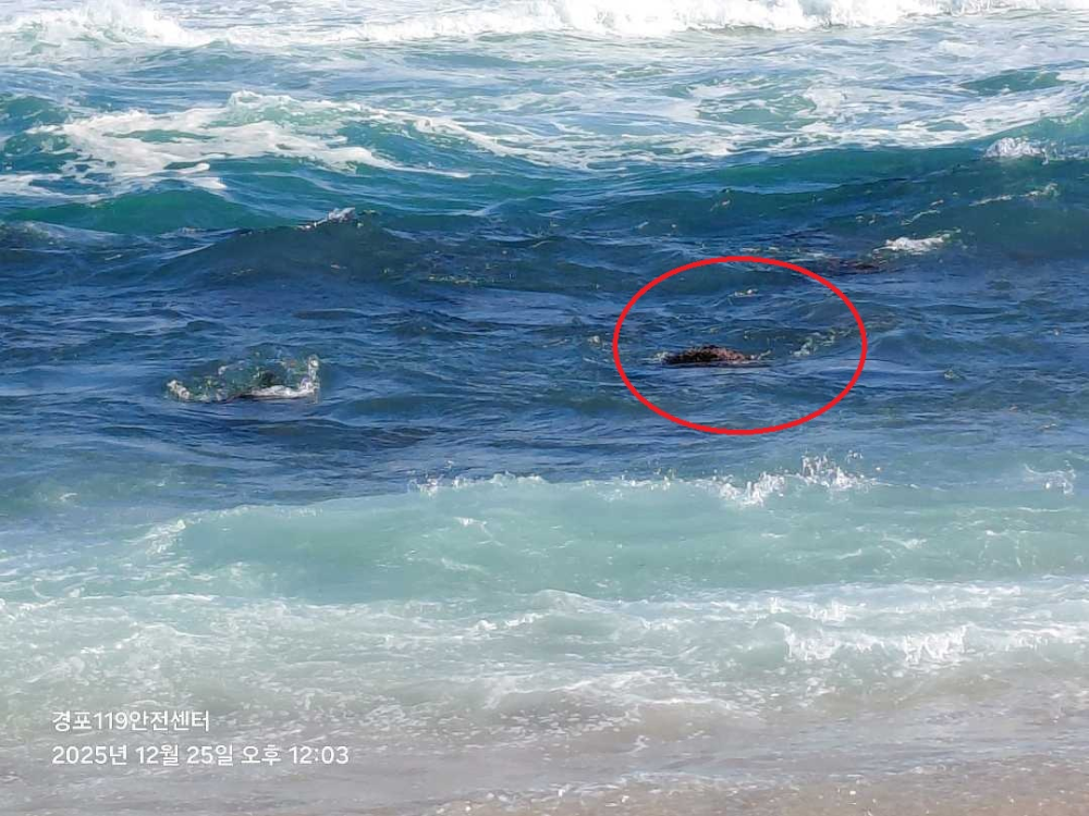 1151 강릉 강문동 수난사고 현장활동 사진.jpg