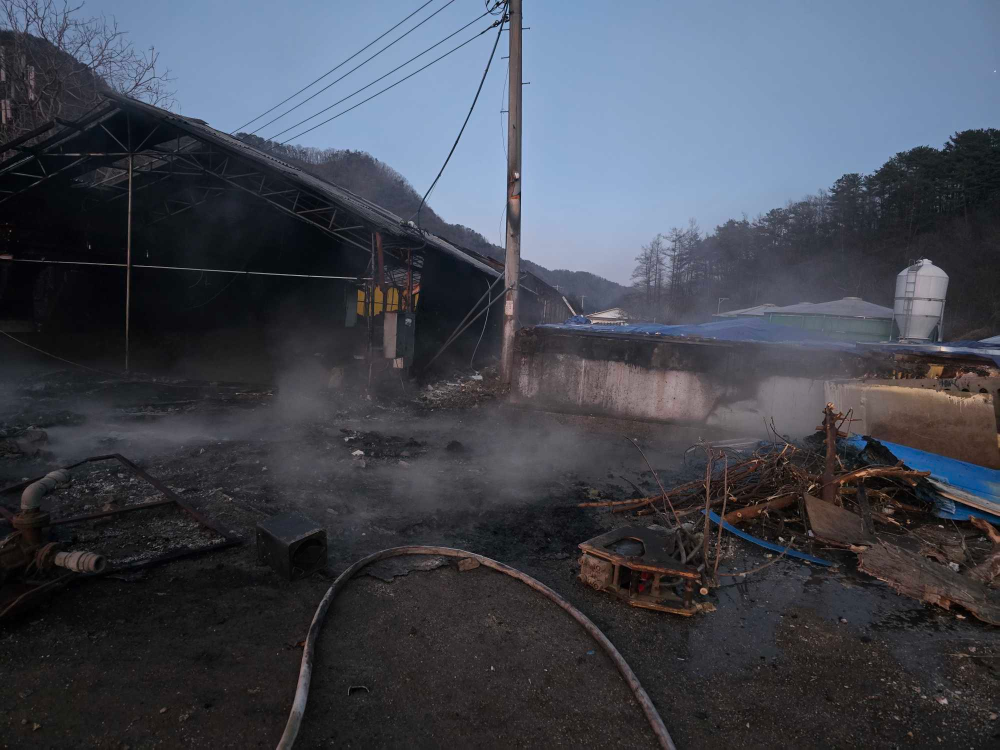 1731 홍천 남면 용수리 농장 화재 2.jpg