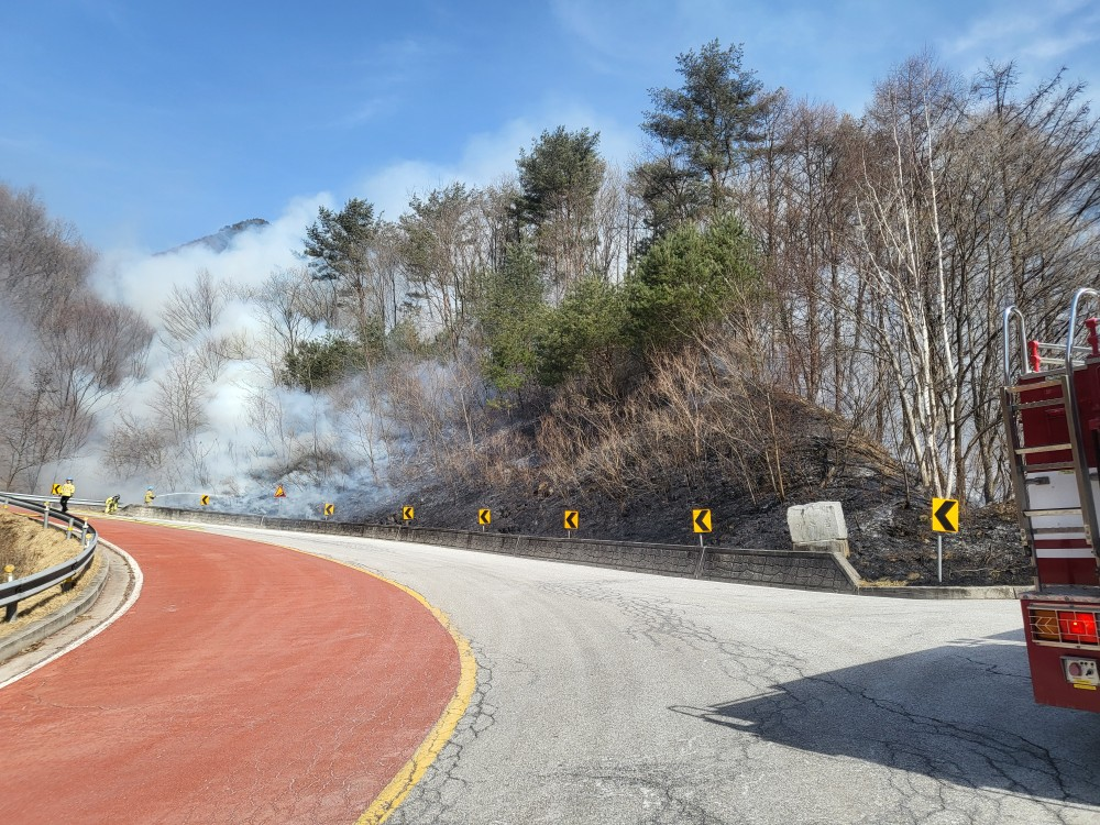 1357 정선 신동읍 방제리 산림화재.jpg