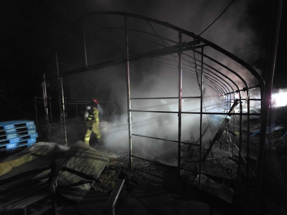 2243 횡성비닐하우스2.jpg