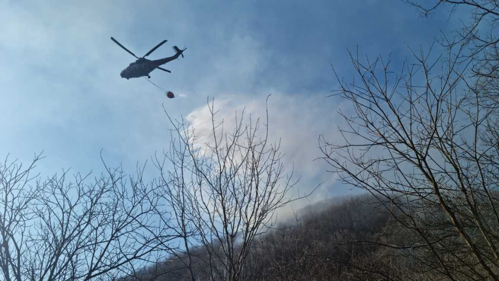 1510 양구 방산 산림화재.jpg