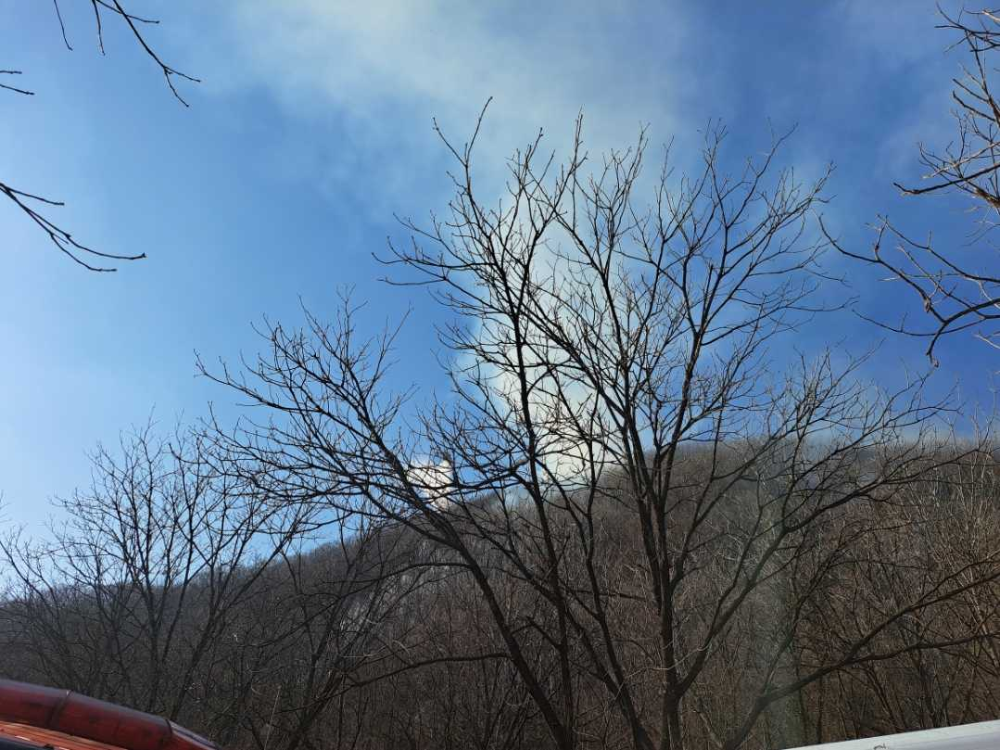 1510 양구 방산 산림화재 (2).jpg