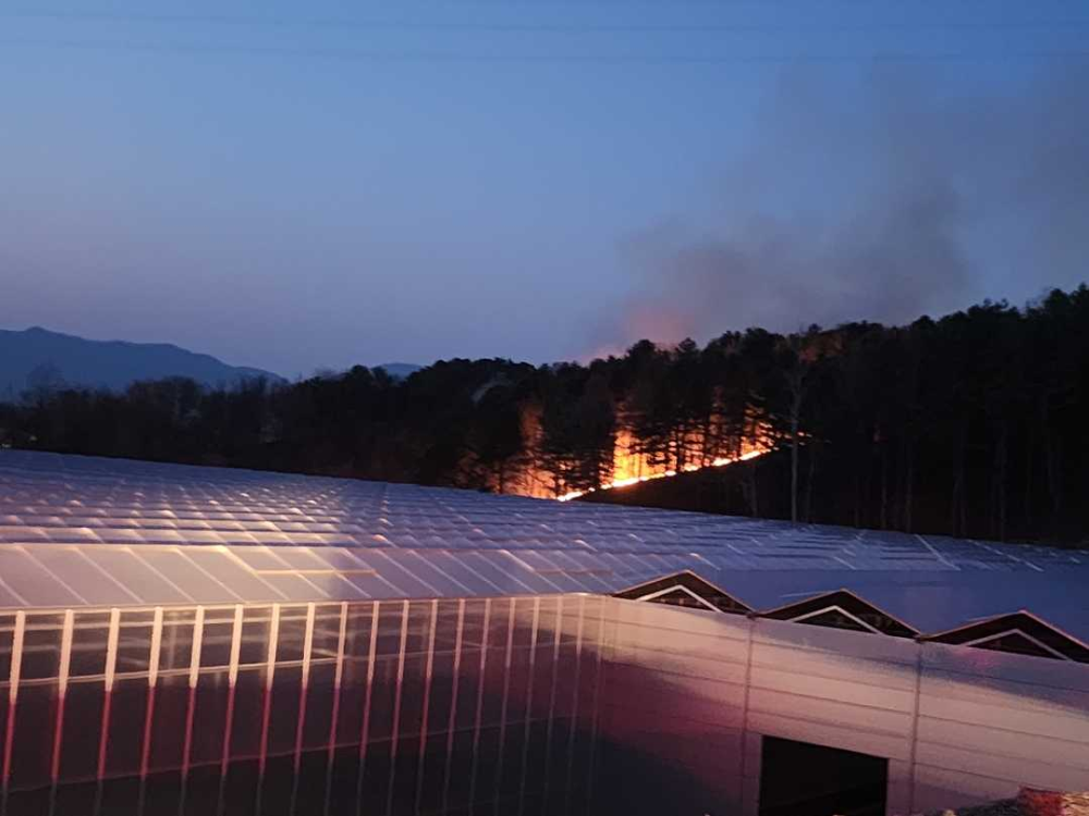 1857 춘천 동면 산림화재1.jpg