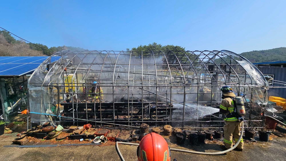 1022 양양 손양면 비닐하우스 화재.jpg