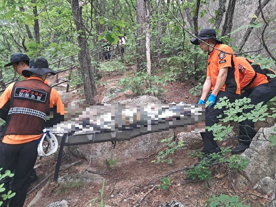 1355 속초 설악산 산악구조-1.jpg