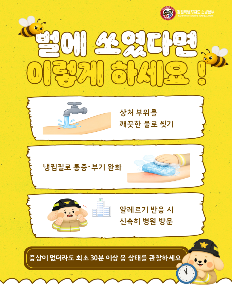 벌 쏘임 사고주의 카드뉴스 (3).jpg