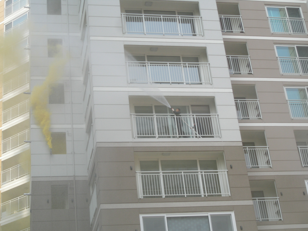 PA260731.JPG