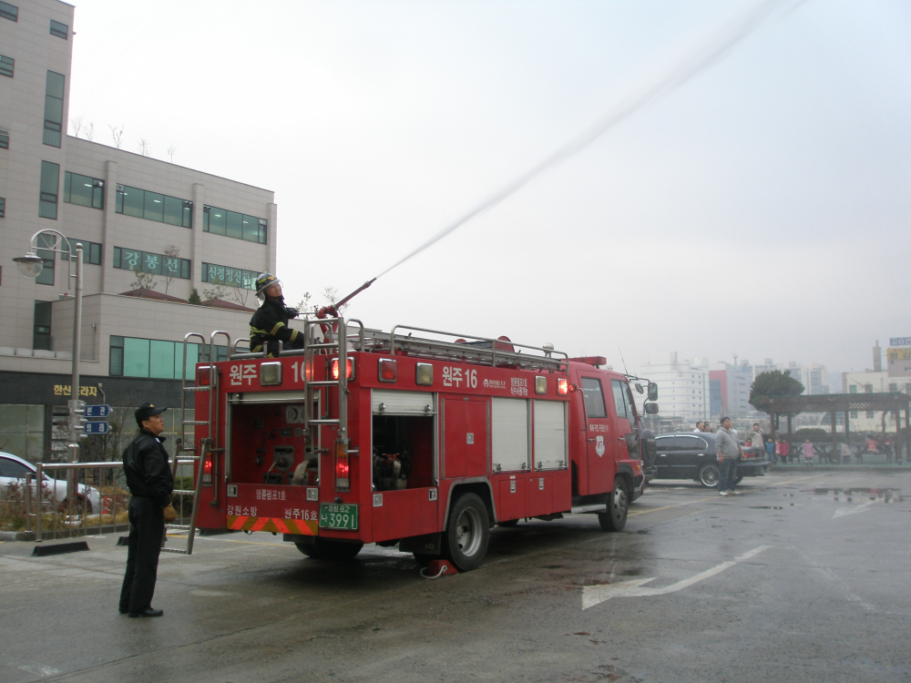 PB250947.JPG