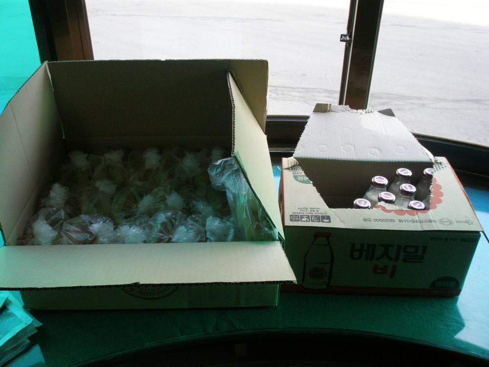 P1100023.JPG