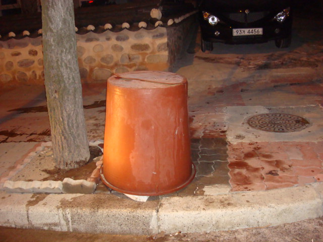 DSC02086.JPG