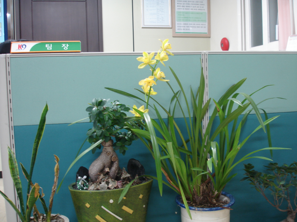 DSC04503.JPG