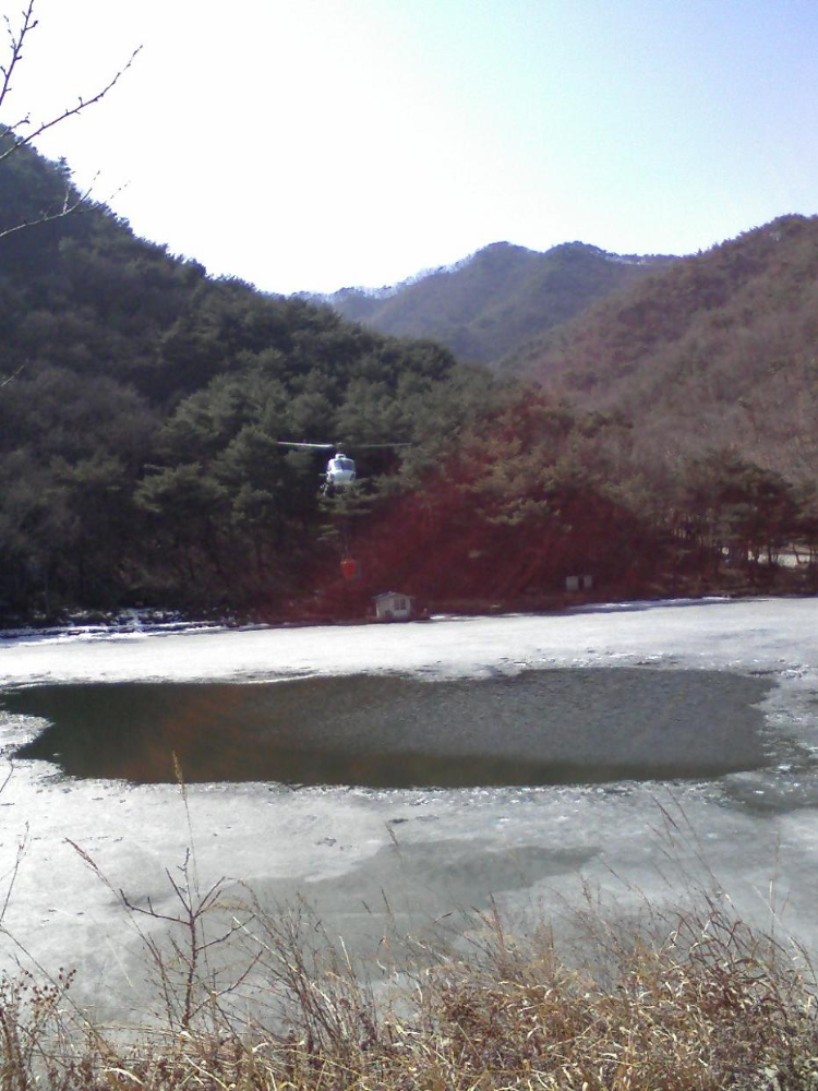 취병리산불1.JPG