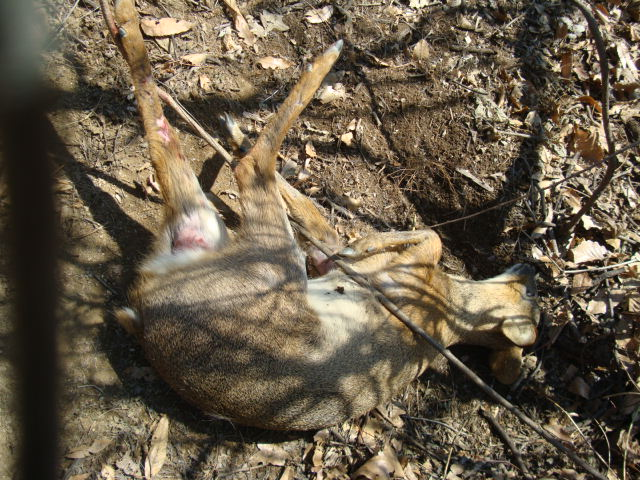 DSC03462.JPG
