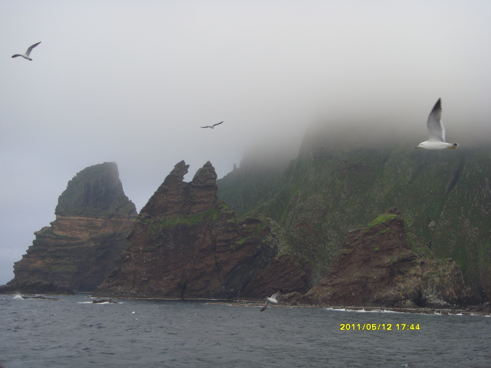 S73R0105.JPG
