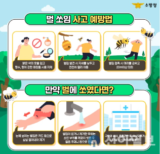 철원소방서, 폭염 벌 쏘임 사고 주의 당부